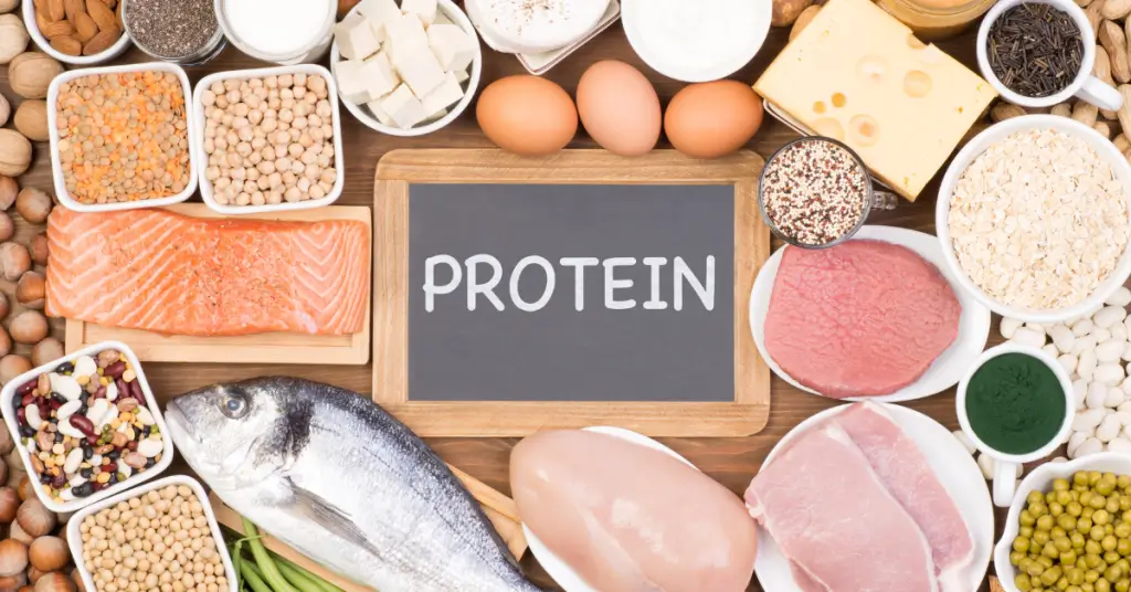 Protein Nutrition Guide