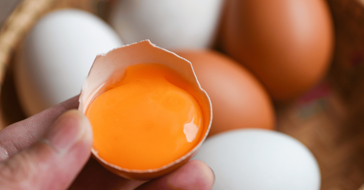 The Truth About Eggs